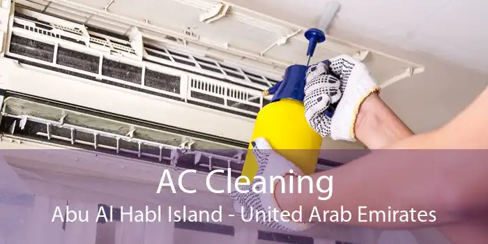 AC Cleaning Abu Al Habl Island - United Arab Emirates