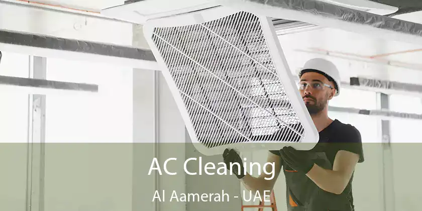  AC Cleaning Al Aamerah - UAE