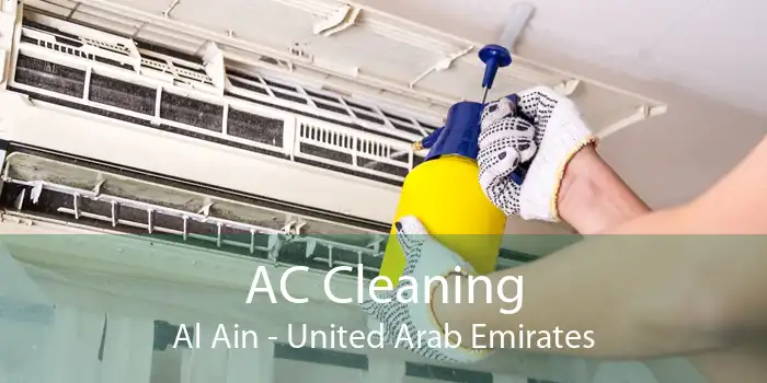AC Cleaning Al Ain - United Arab Emirates