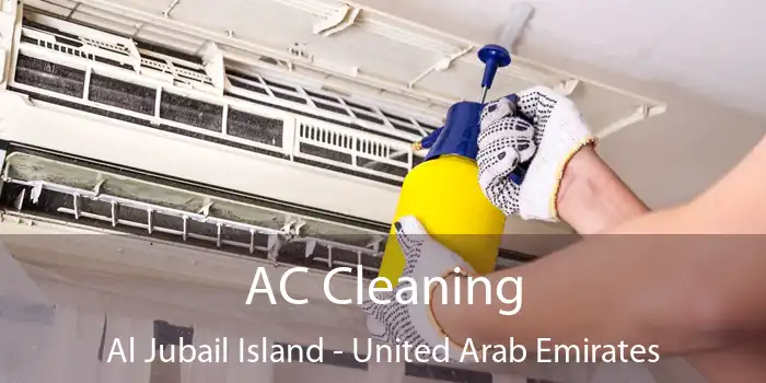 AC Cleaning Al Jubail Island - United Arab Emirates