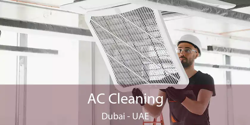  AC Cleaning Dubai - UAE
