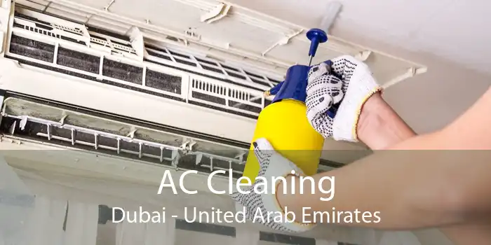 AC Cleaning Dubai - United Arab Emirates