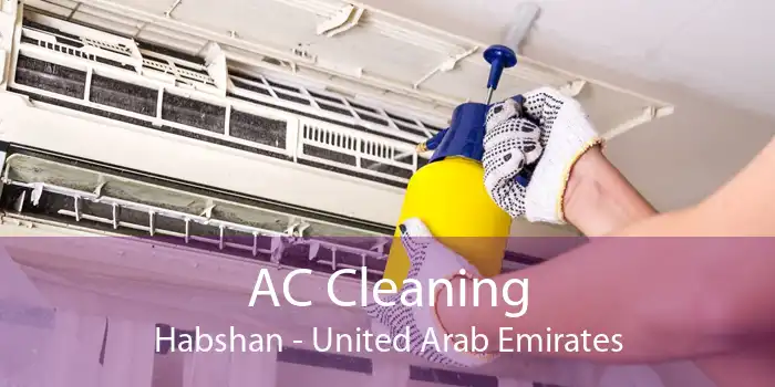 AC Cleaning Habshan - United Arab Emirates