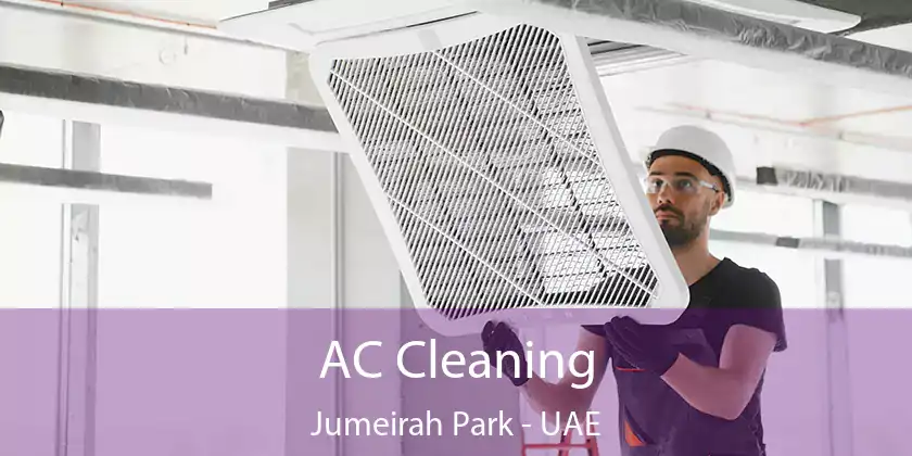  AC Cleaning Jumeirah Park - UAE