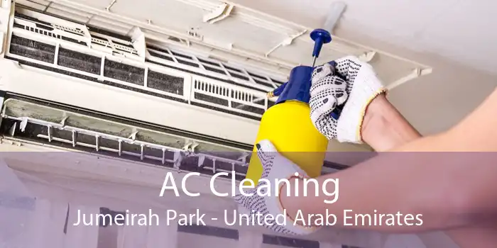 AC Cleaning Jumeirah Park - United Arab Emirates