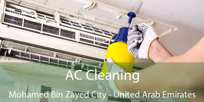 AC Cleaning Mohamed Bin Zayed City - United Arab Emirates