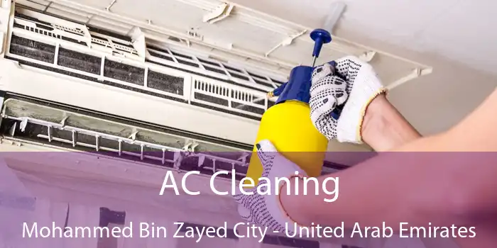 AC Cleaning Mohammed Bin Zayed City - United Arab Emirates