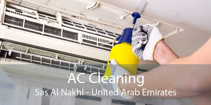AC Cleaning Sas Al Nakhl - United Arab Emirates
