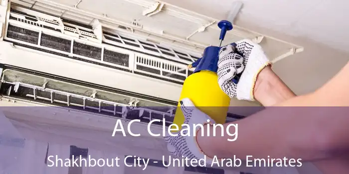 AC Cleaning Shakhbout City - United Arab Emirates