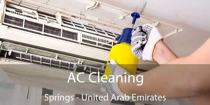 AC Cleaning Springs - United Arab Emirates