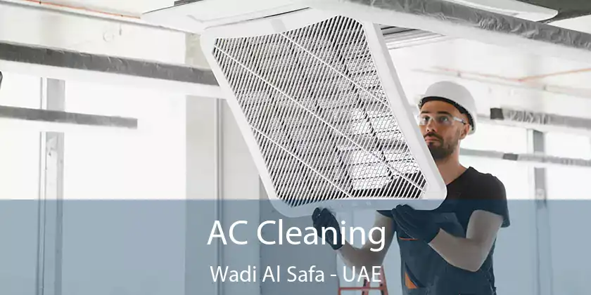  AC Cleaning Wadi Al Safa - UAE