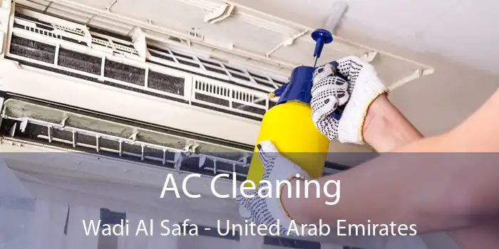AC Cleaning Wadi Al Safa - United Arab Emirates