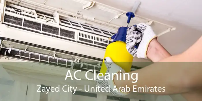 AC Cleaning Zayed City - United Arab Emirates