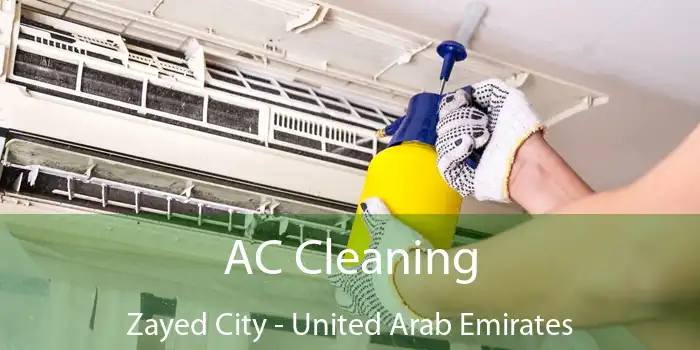 AC Cleaning Zayed City - United Arab Emirates