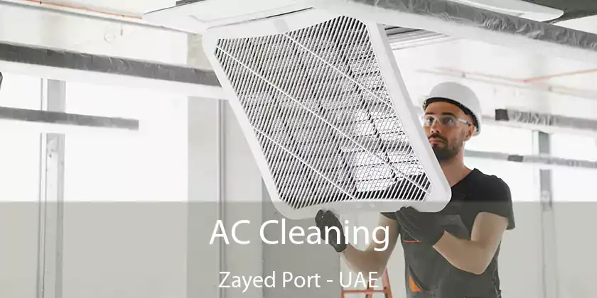 AC Cleaning Zayed Port - UAE
