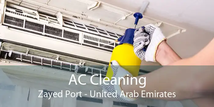 AC Cleaning Zayed Port - United Arab Emirates