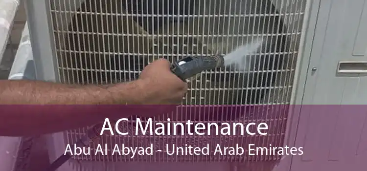 AC Maintenance Abu Al Abyad - United Arab Emirates