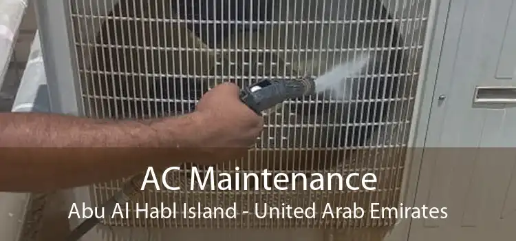 AC Maintenance Abu Al Habl Island - United Arab Emirates