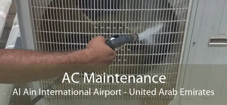 AC Maintenance Al Ain International Airport - United Arab Emirates