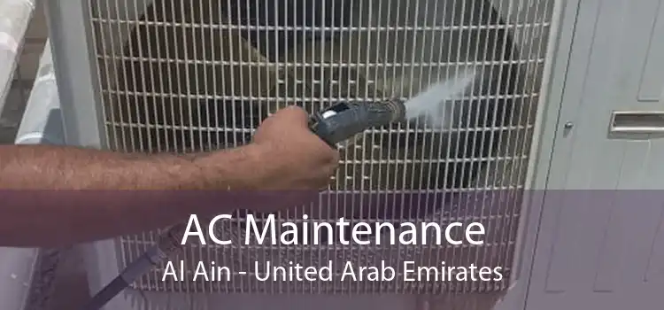 AC Maintenance Al Ain - United Arab Emirates