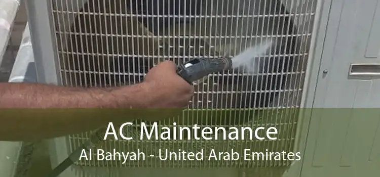 AC Maintenance Al Bahyah - United Arab Emirates