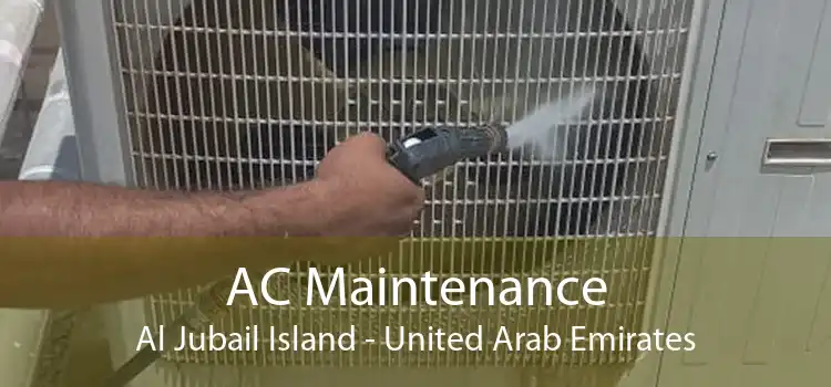 AC Maintenance Al Jubail Island - United Arab Emirates
