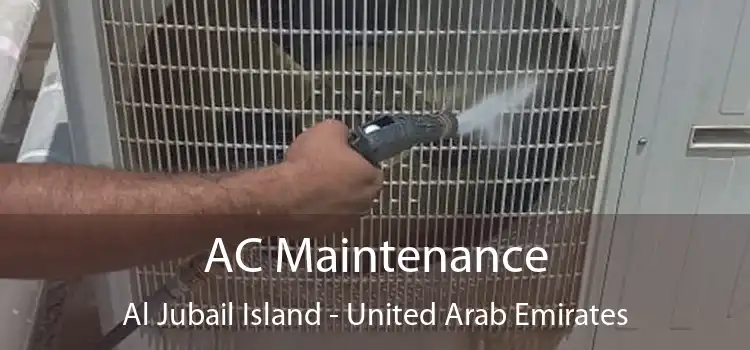 AC Maintenance Al Jubail Island - United Arab Emirates