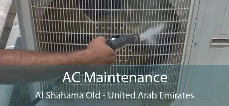 AC Maintenance Al Shahama Old - United Arab Emirates