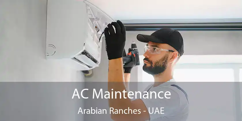  AC Maintenance Arabian Ranches - UAE
