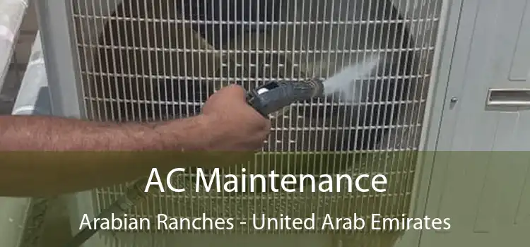 AC Maintenance Arabian Ranches - United Arab Emirates