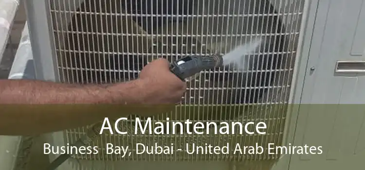 AC Maintenance Business  Bay, Dubai - United Arab Emirates