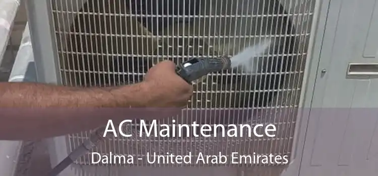 AC Maintenance Dalma - United Arab Emirates