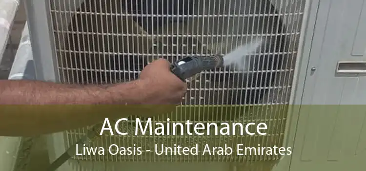 AC Maintenance Liwa Oasis - United Arab Emirates