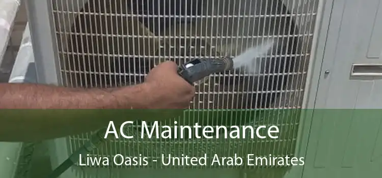 AC Maintenance Liwa Oasis - United Arab Emirates