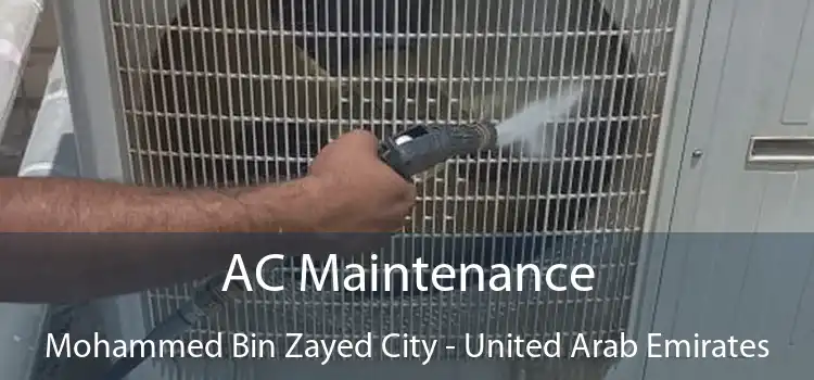 AC Maintenance Mohammed Bin Zayed City - United Arab Emirates