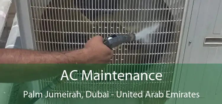 AC Maintenance Palm Jumeirah, Dubai - United Arab Emirates