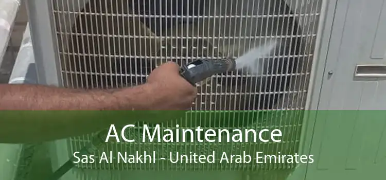 AC Maintenance Sas Al Nakhl - United Arab Emirates