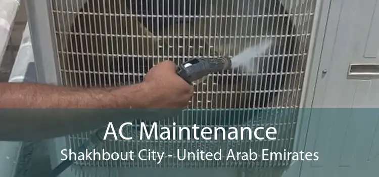 AC Maintenance Shakhbout City - United Arab Emirates