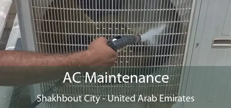 AC Maintenance Shakhbout City - United Arab Emirates