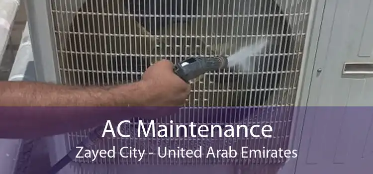 AC Maintenance Zayed City - United Arab Emirates