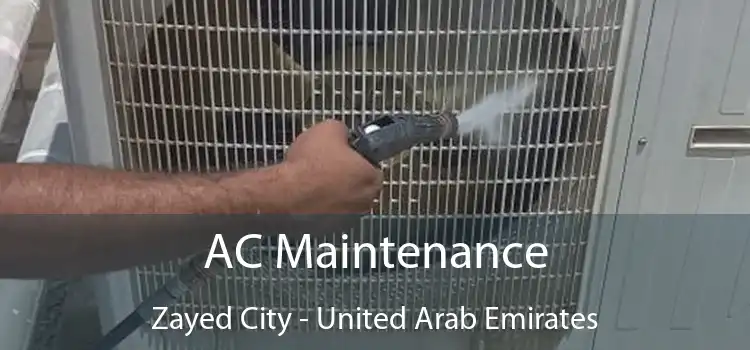 AC Maintenance Zayed City - United Arab Emirates