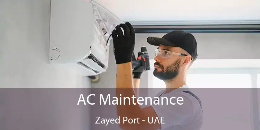  AC Maintenance Zayed Port - UAE