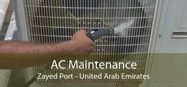 AC Maintenance Zayed Port - United Arab Emirates