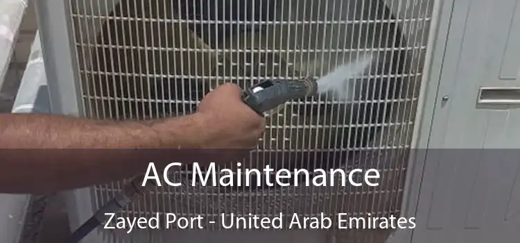 AC Maintenance Zayed Port - United Arab Emirates