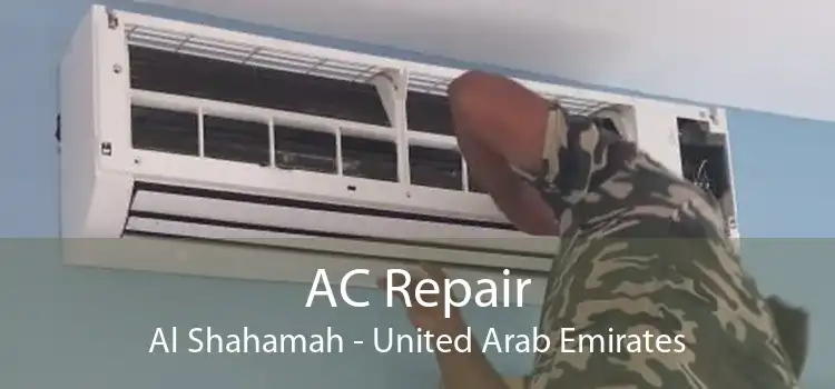 AC Repair Al Shahamah - United Arab Emirates