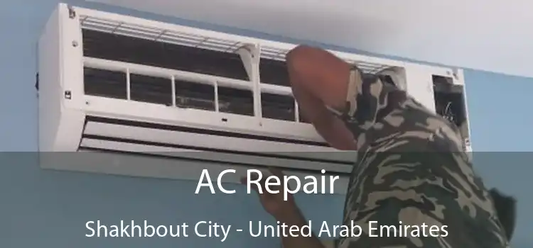 AC Repair Shakhbout City - United Arab Emirates