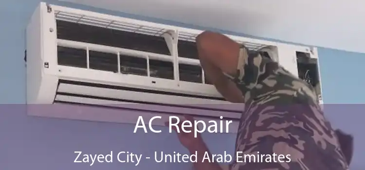 AC Repair Zayed City - United Arab Emirates