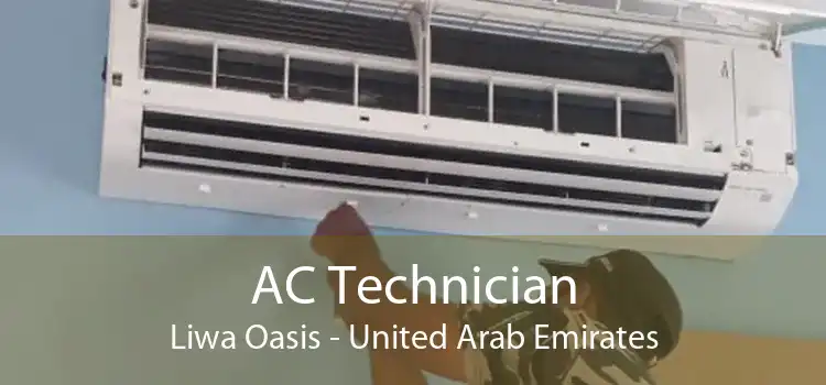 AC Technician Liwa Oasis - United Arab Emirates