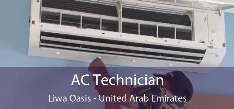 AC Technician Liwa Oasis - United Arab Emirates