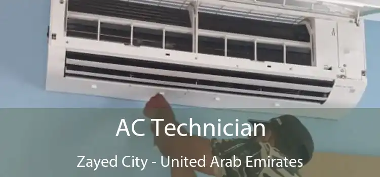 AC Technician Zayed City - United Arab Emirates